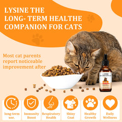 Trihood L-Lysine, yeux et nez confortés pour le chat.
