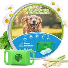 Trihood pendentif anti-puces et tiques vert protégeant votre chien lors des sorties.
