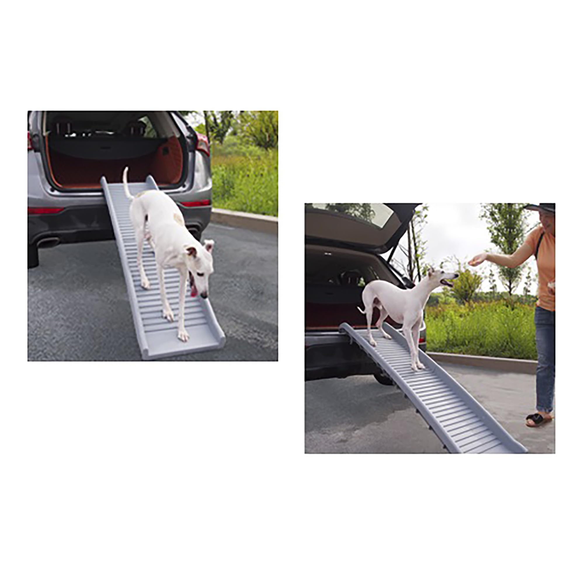 Rampe Trimate pour chiens et chats, idéale pour voyages.