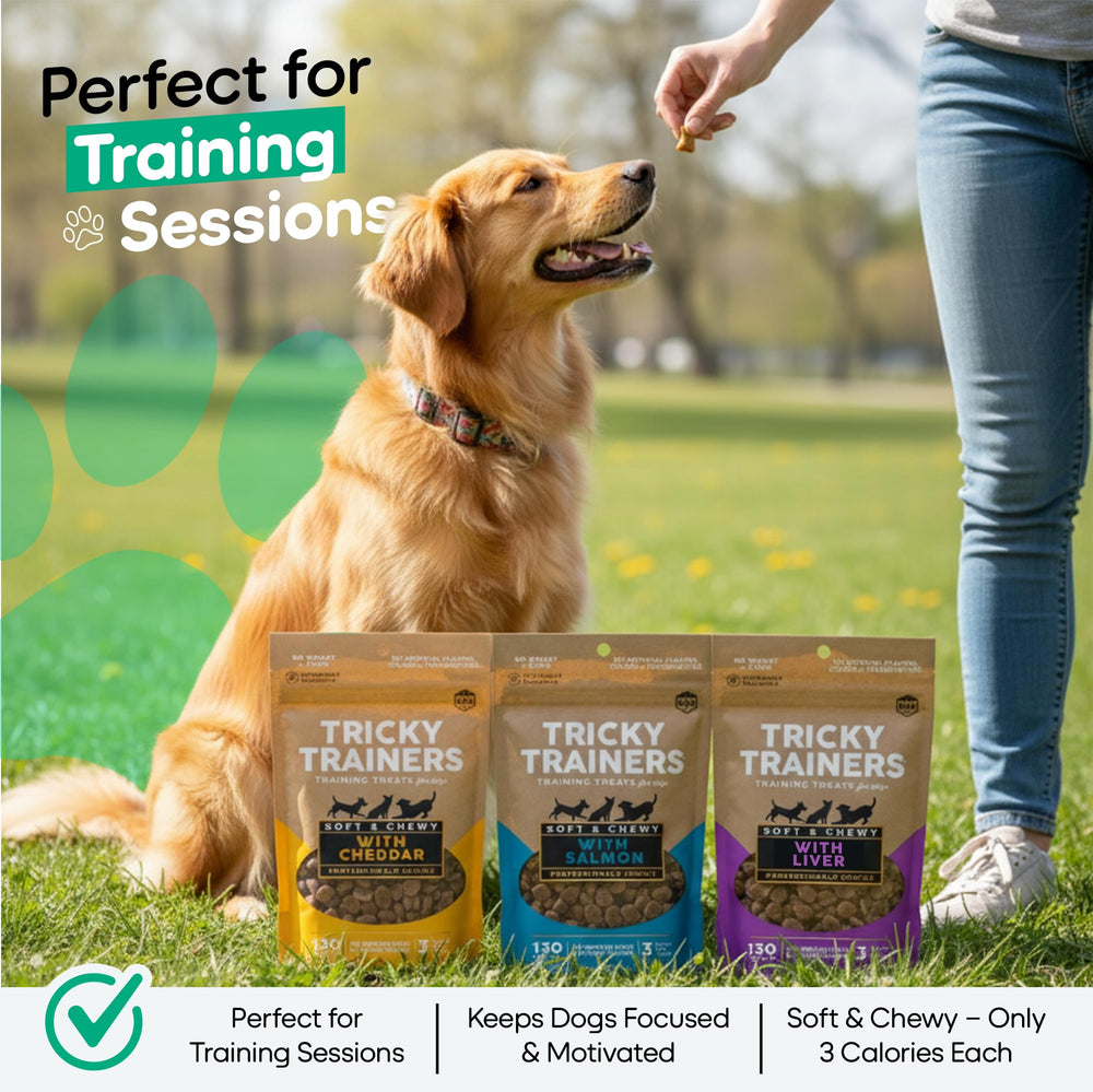Trinity Treats – friandises fromage cheddar tendres, option idéale pour petits chiens.