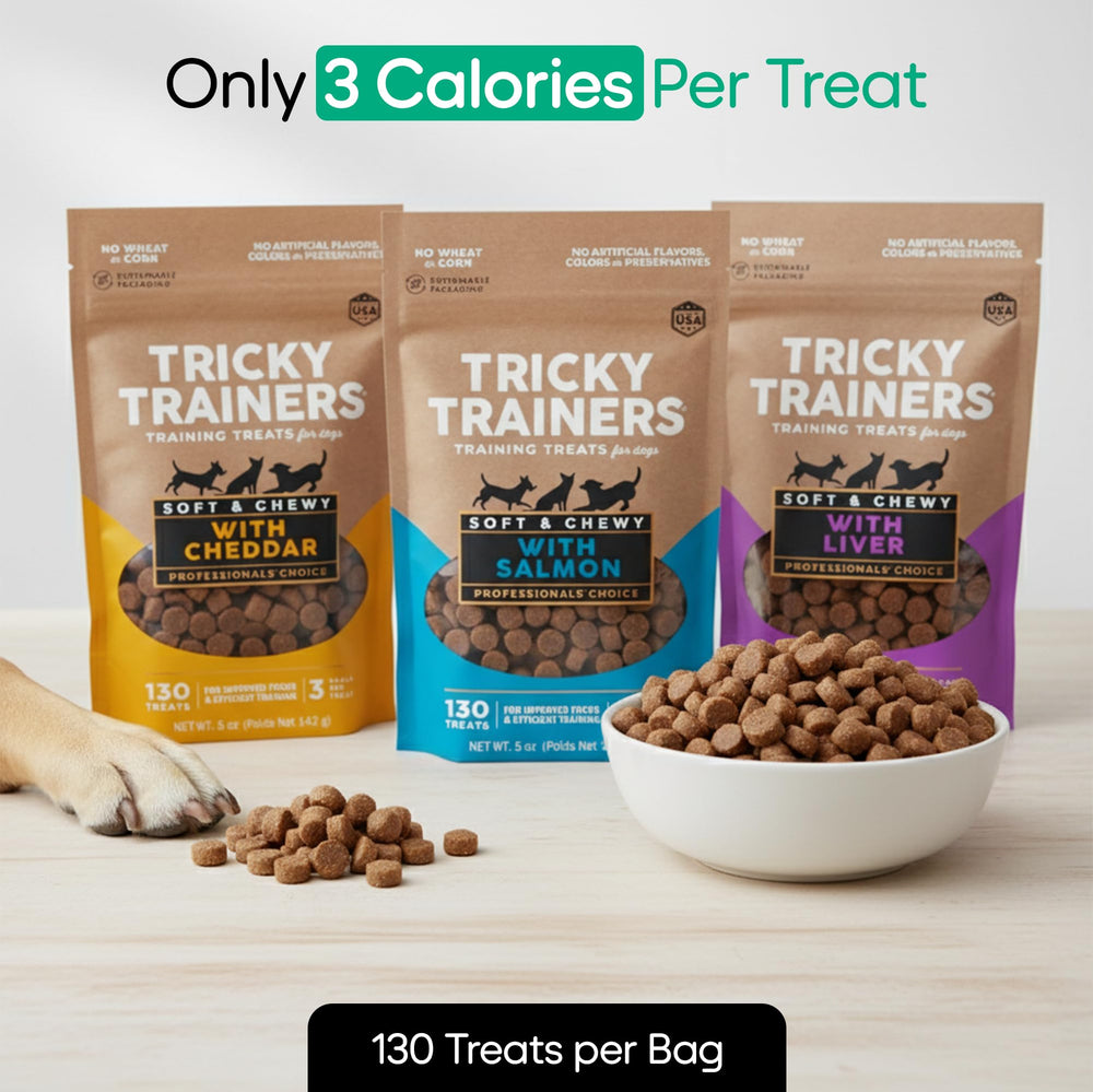 Trinity Treats – friandises saumon moelleuses, option motivante pour l'entraînement.