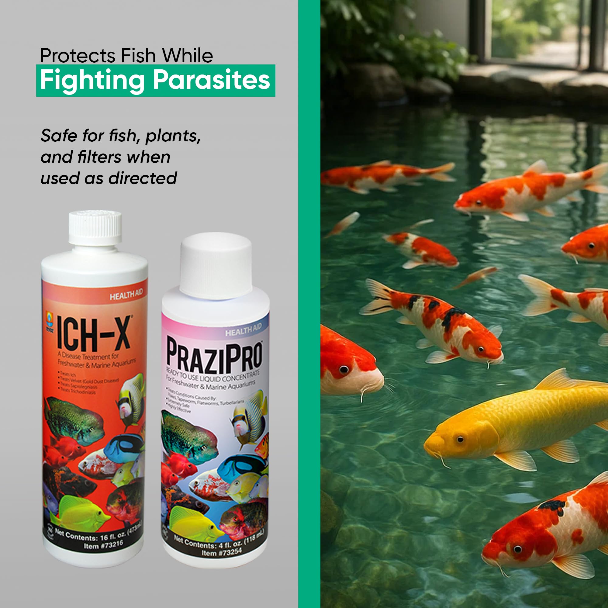 PraziPro pour eau douce: dosage simple et sécurité des poissons
