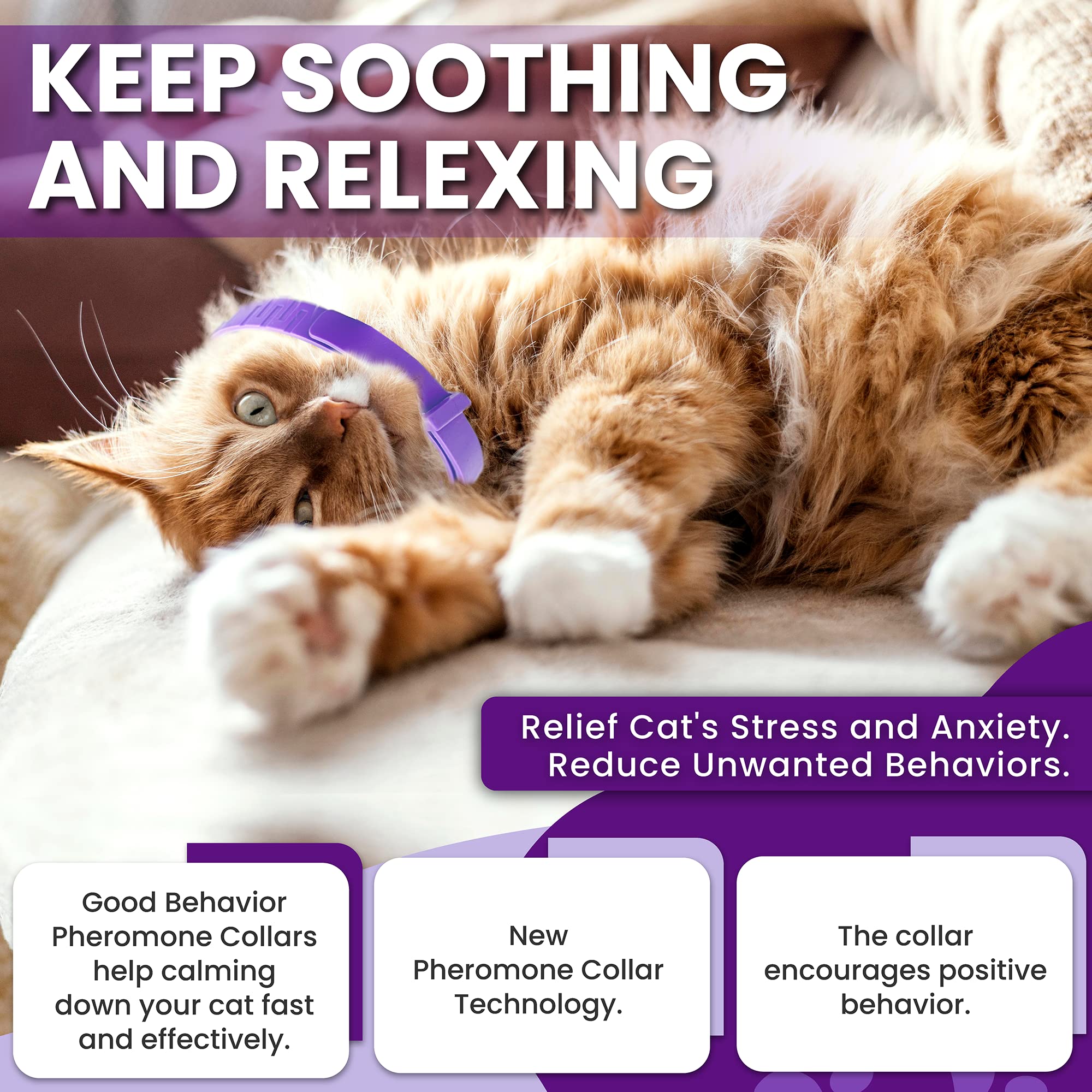 Collier chat ajustable en douceur, s'adapte à toutes tailles.