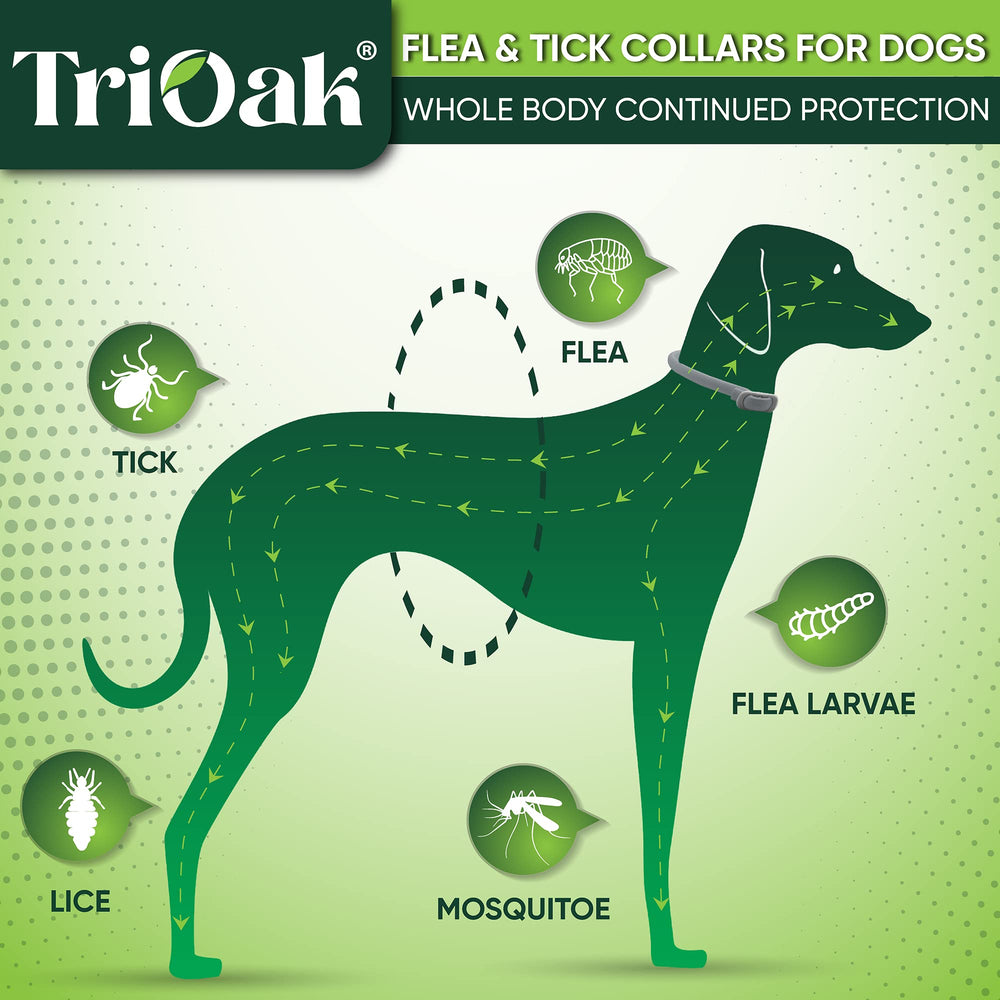 TriOak collier durée 8 mois, protection continue pour chien.
