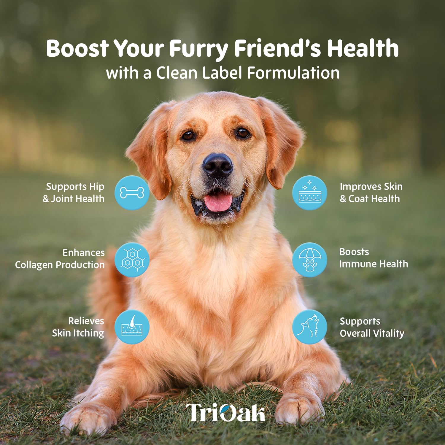 TriOak formule enrichie, démangeaisons réduites et confort de la peau chez les chiens.
