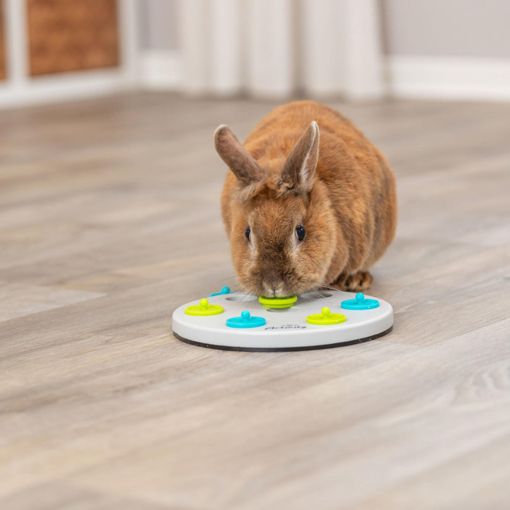 Activité interactive d'enrichissement pour animaux, planche Trixie.
