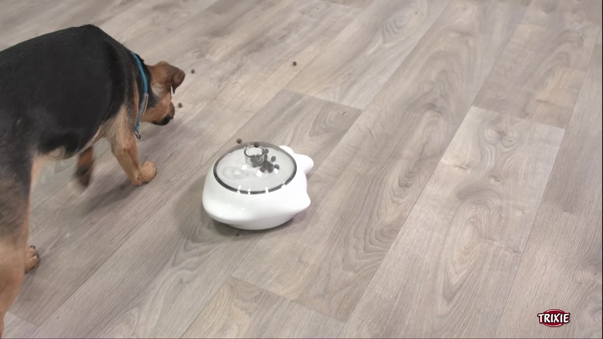 TRIXIE Distributeur friandises avec roues-verrouillables assure stabilité pendant l’usage.