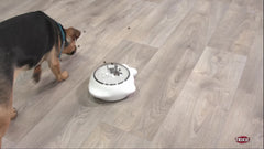 TRIXIE Distributeur friandises avec roues-verrouillables assure stabilité pendant l’usage.
