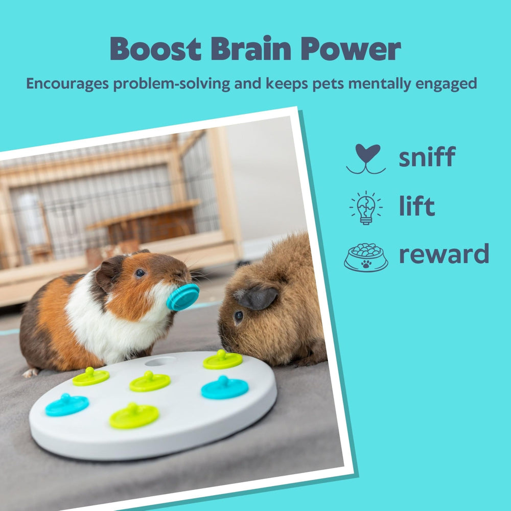 Enrichissement mental pour petits animaux avec planche Trixie.