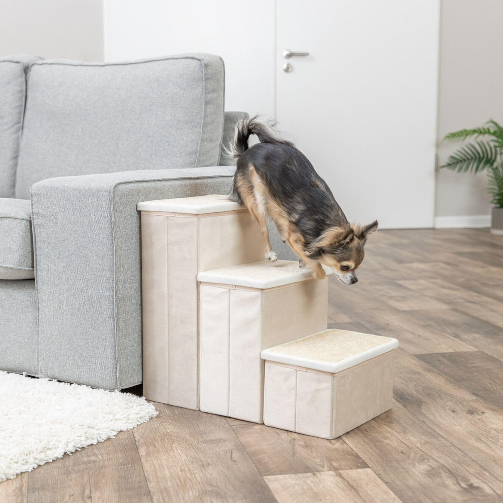 TRIXIE Escaliers pliables avec rangement interne, pratique pour jouets.