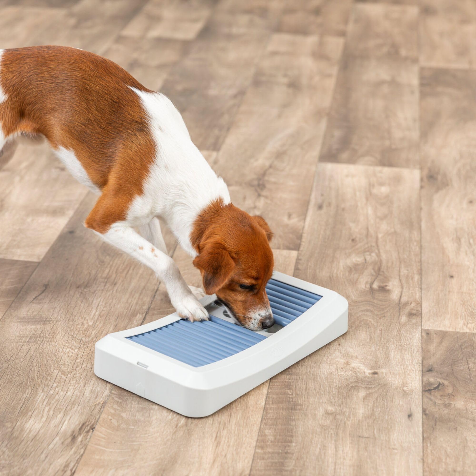 TRIXIE jouet d’enrichissement canin favorise l’exploration sécurisée et le jeu