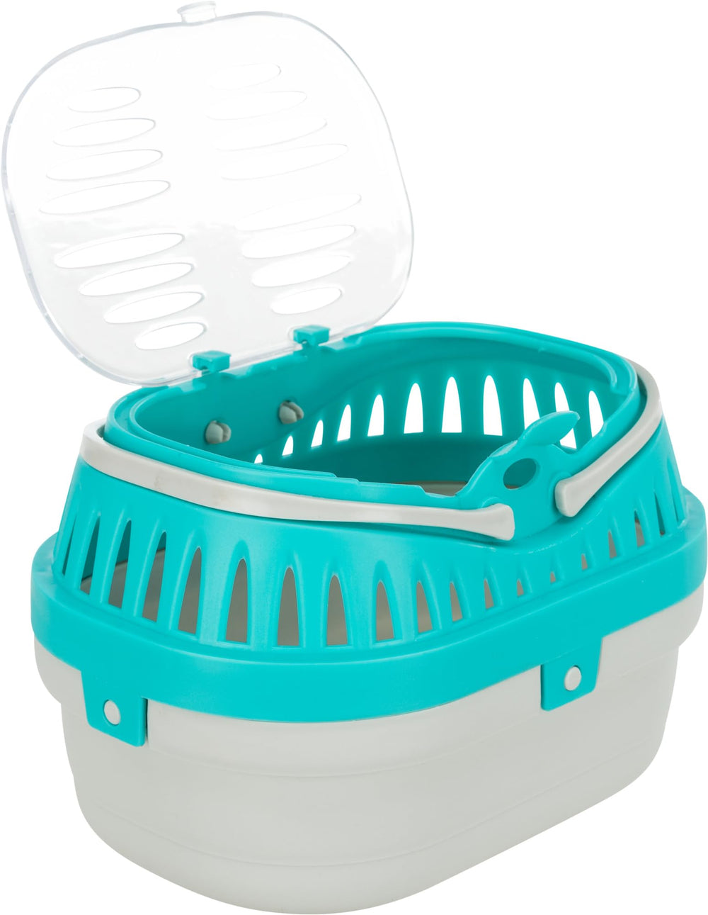Plusieurs tailles et couleurs disponibles pour votre petit compagnon.