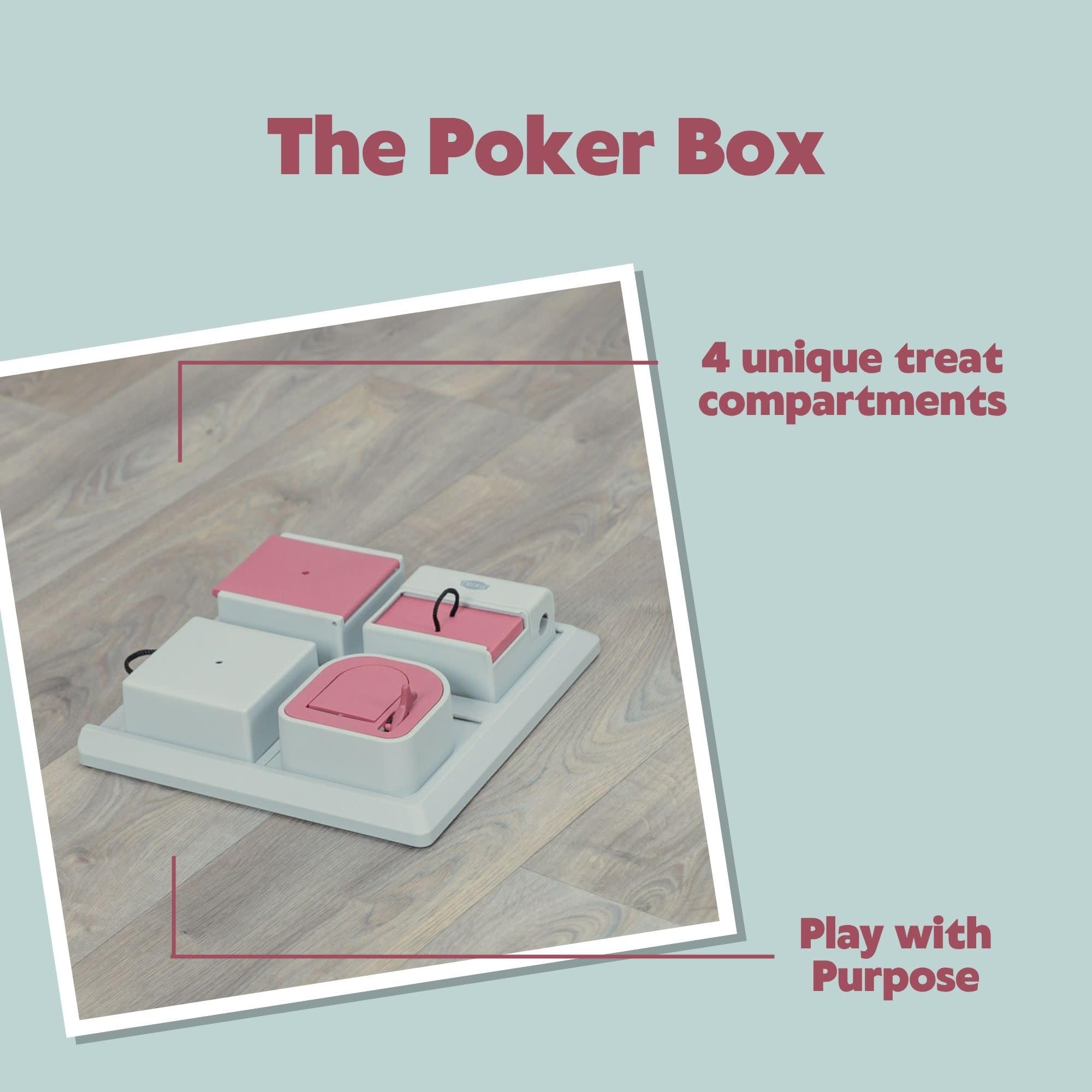 TRIXIE Poker Box initiation douce pour chaton curieux.