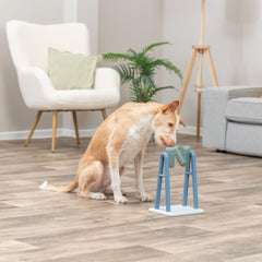 TRIXIE Turn Around: bouchons différents pour varier les défis.
