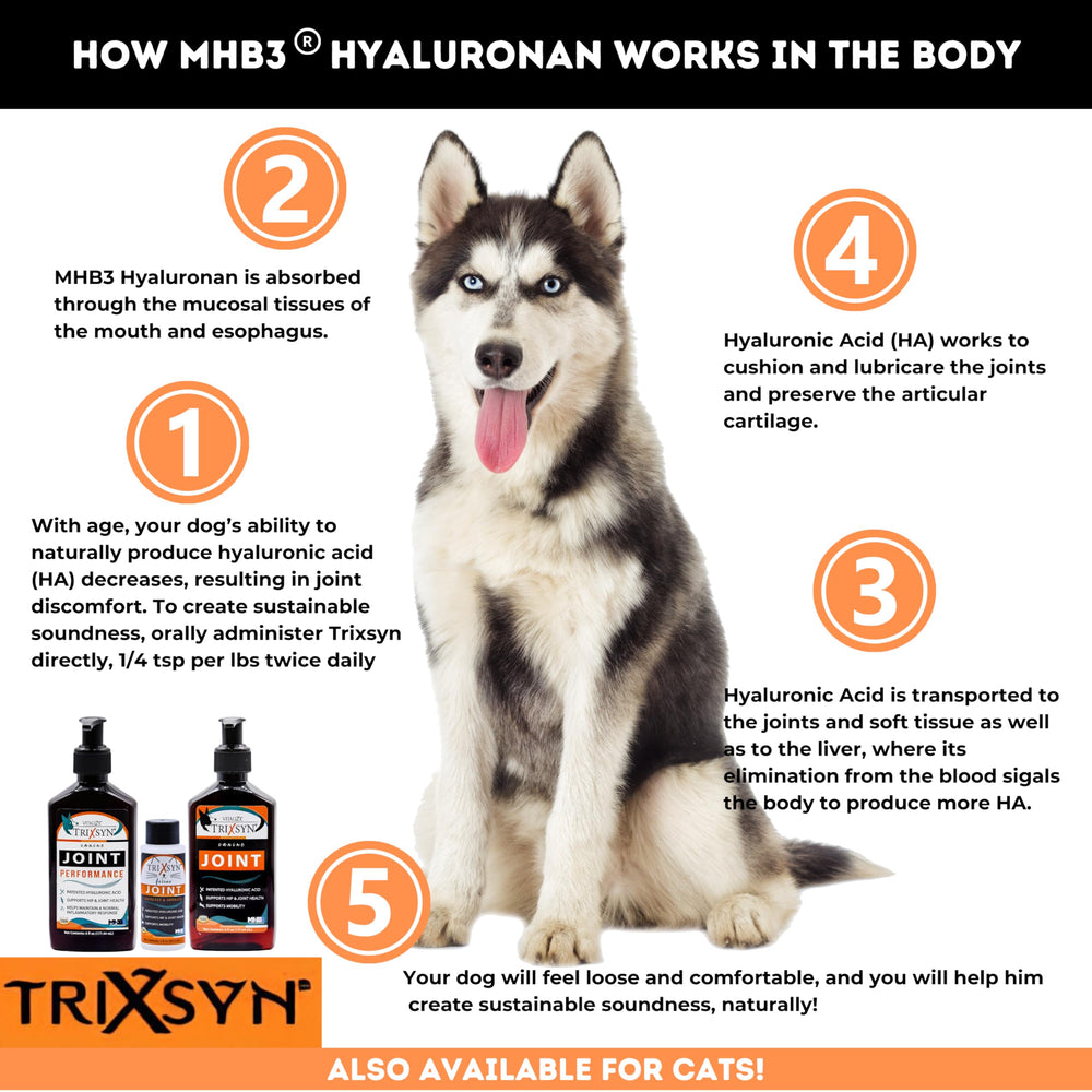 Gouttes TRIXSYN Canine pour dosage quotidien facilité