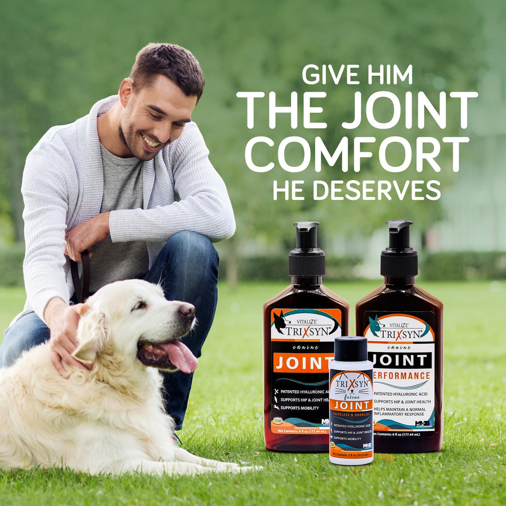 TRIXSYN Canine – détail du liquide hyaluronane, aspect clair et fluide.