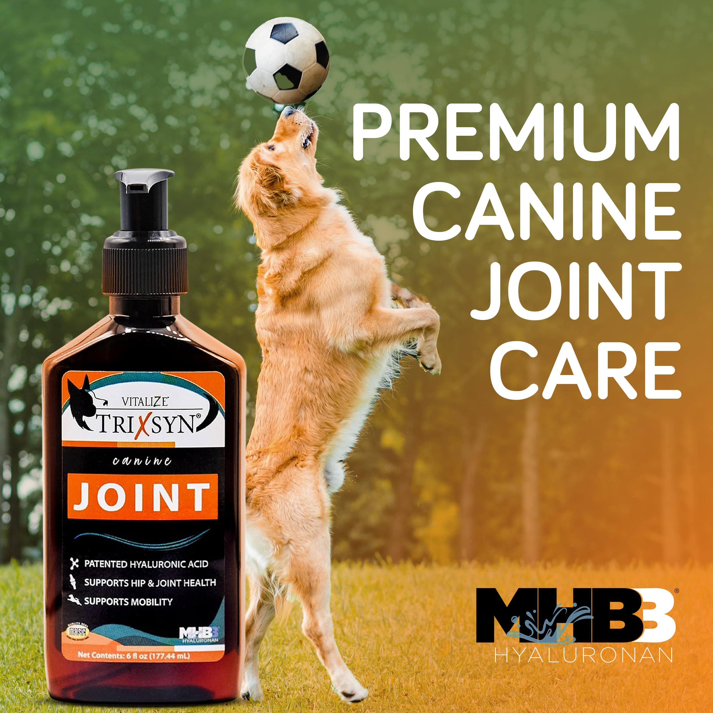 TRIXSYN Canine – chien lors d une promenade, potentiel soutien articulaire quotidien.