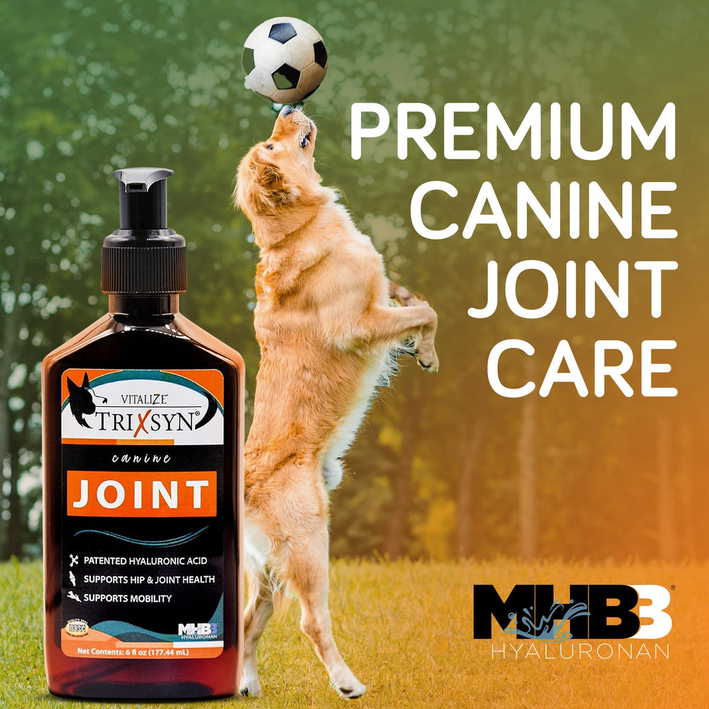 TRIXSYN Canine – chien lors d une promenade, potentiel soutien articulaire quotidien.