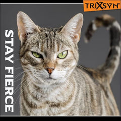 TRIXSYN Feline: goutte-pipette facilitant le dosage pour une administration pratique.