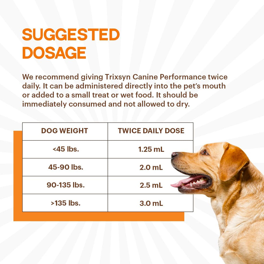 Chien actif utilisant TRIXSYN Performance pour rester mobile.