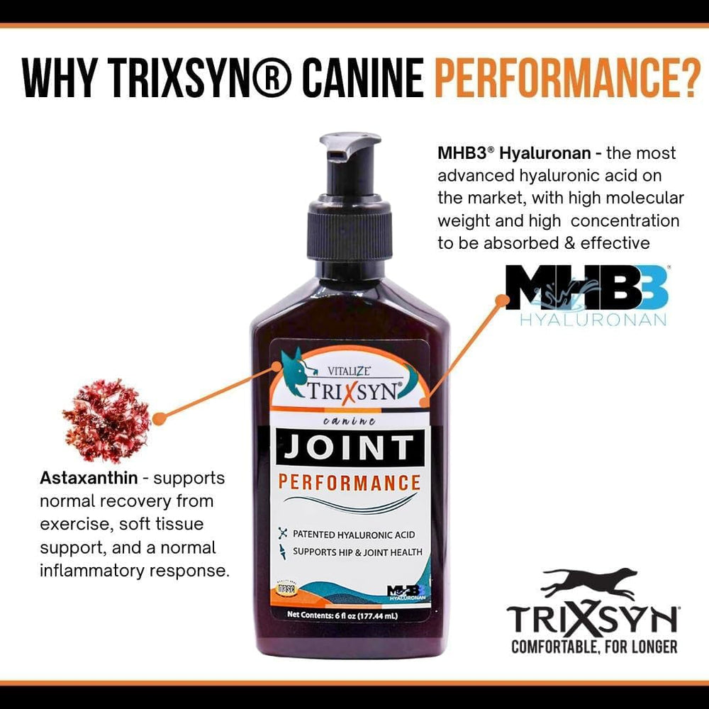Chien senior profitant d'une mobilité améliorée grâce à TRIXSYN Performance.