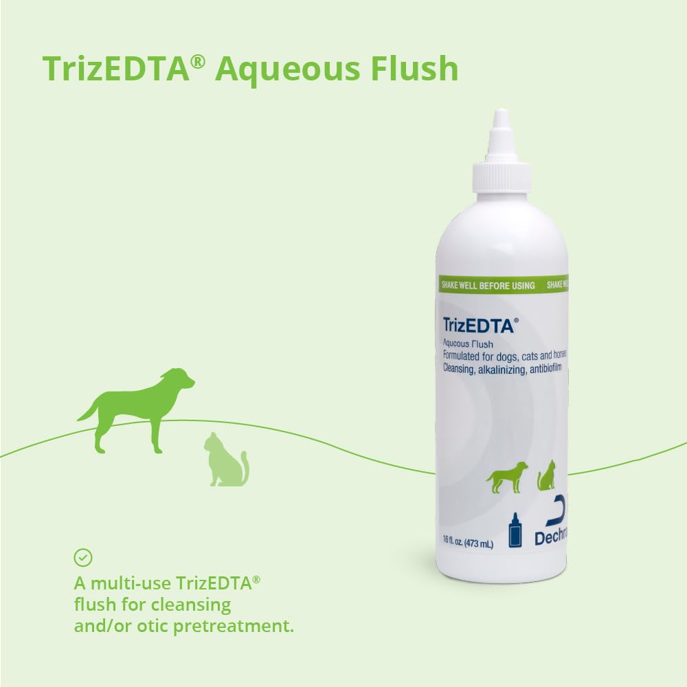 Pré-trempage des oreilles avec TrizEDTA Aqueous Flush.