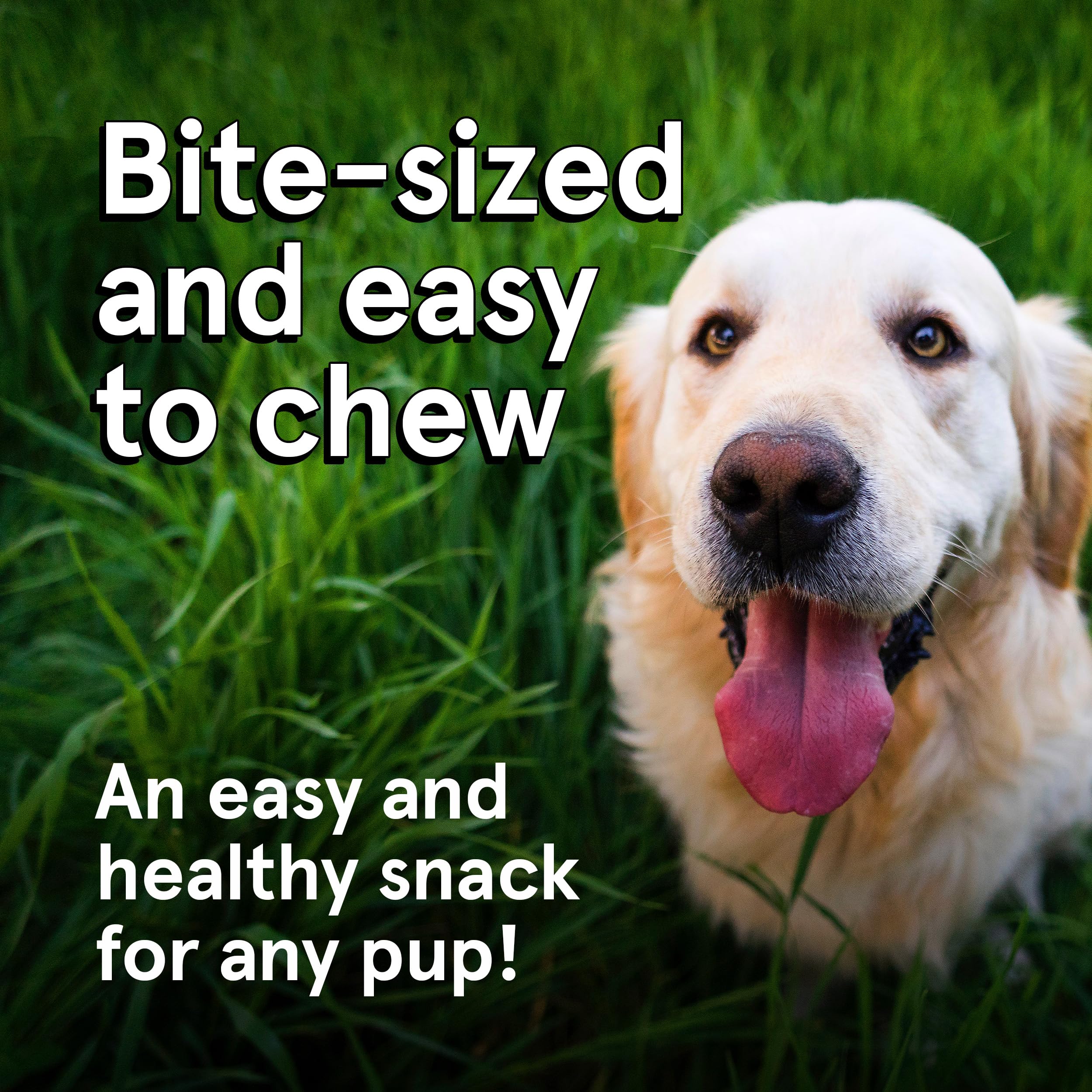 TRMC Friandises Chien Omega-3 et Vitamine B12, enrichies pour soutien naturel.