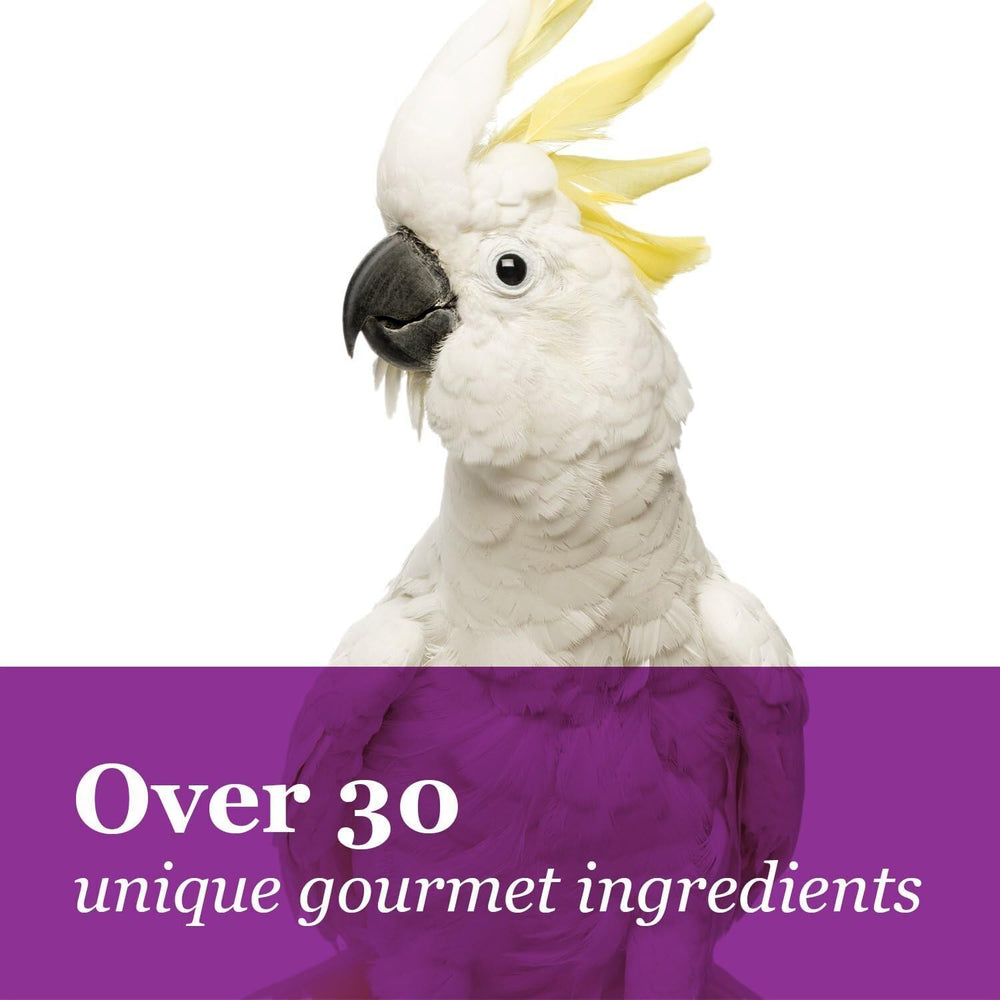 Tropical Carnival antioxydants-légumes-frais, renforcement potentiel du système immunitaire