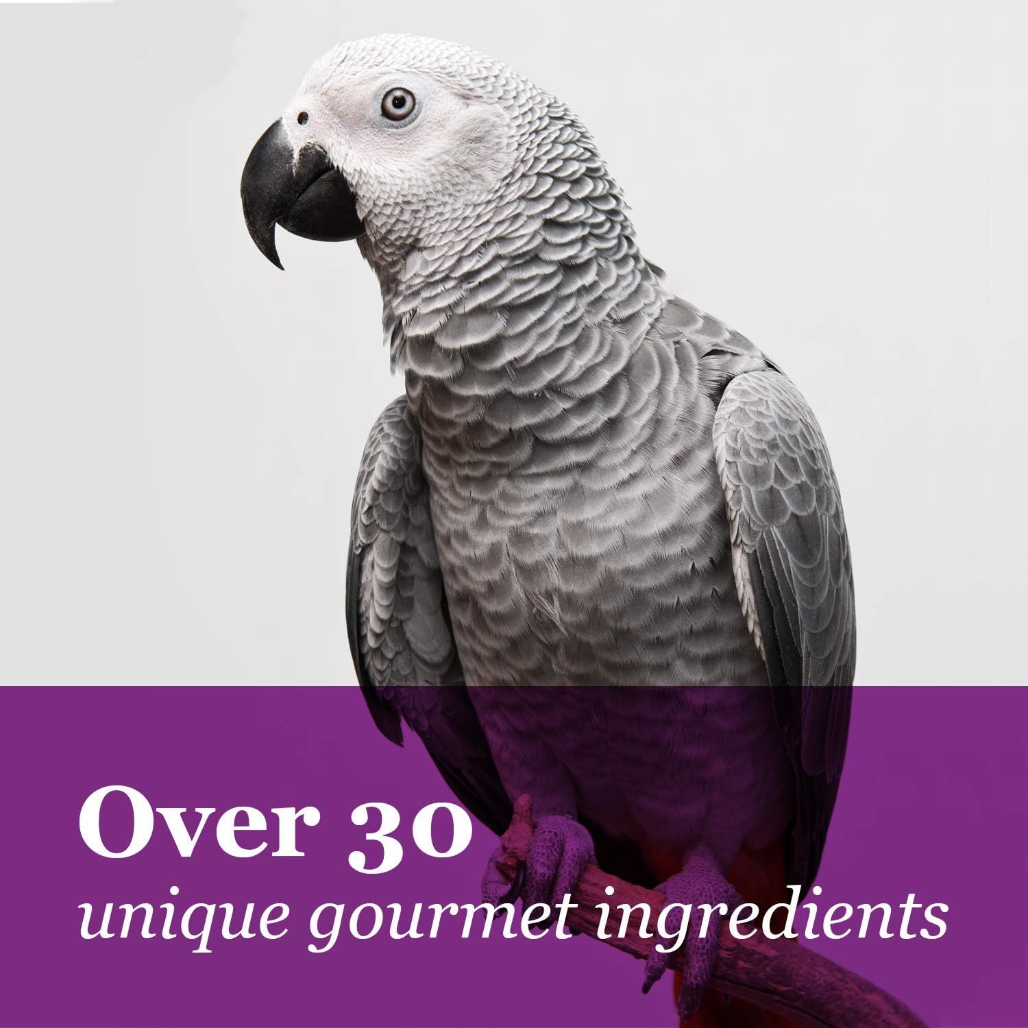Utilisation facile : nourrir et varier le repas quotidien de votre macaw.