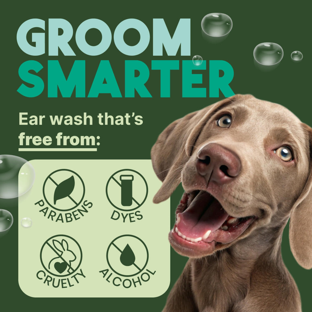 TropiClean application oreille chien : étape simple pour nettoyer les oreilles.