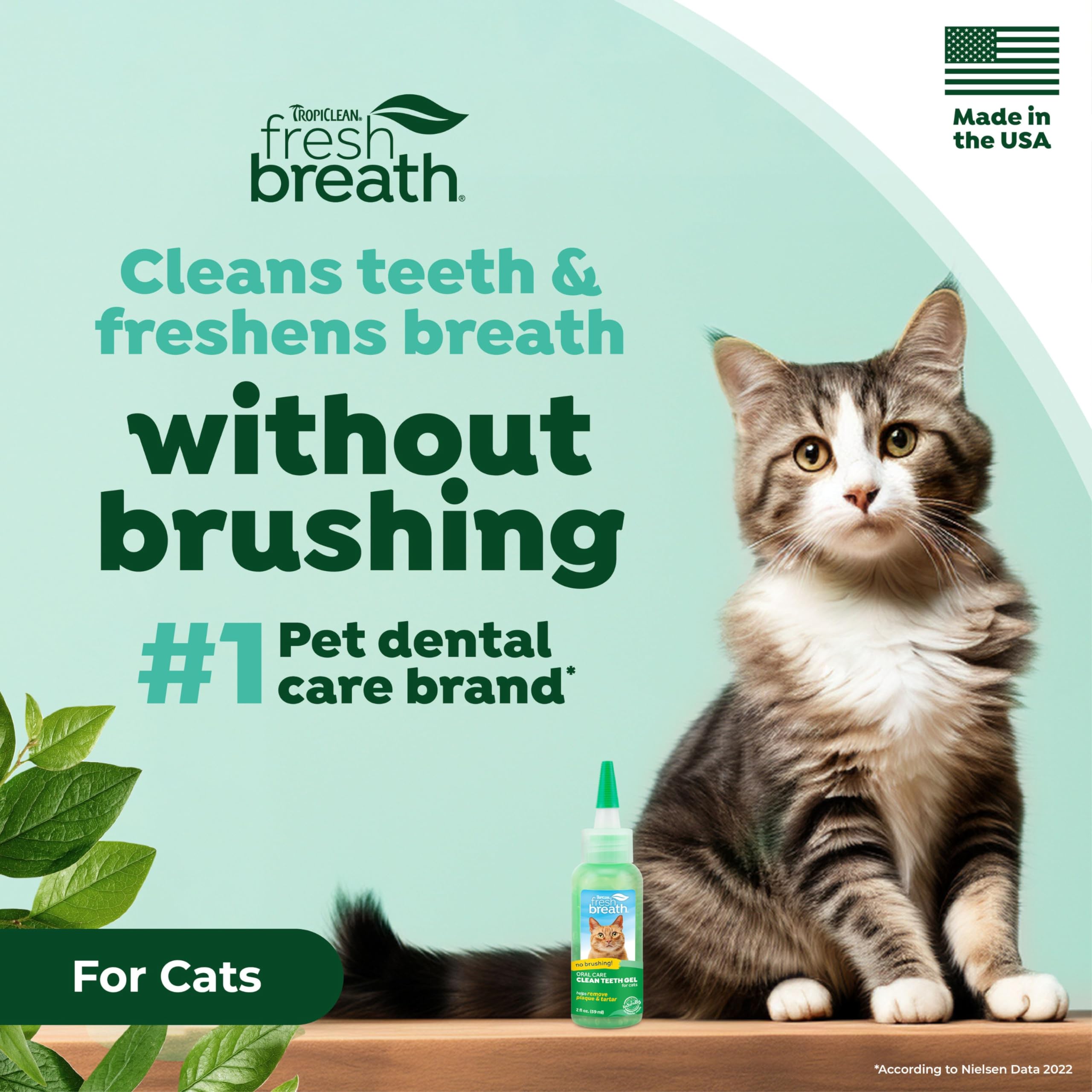 Application sans brosse TropiClean pour chat, pratique et rapide.