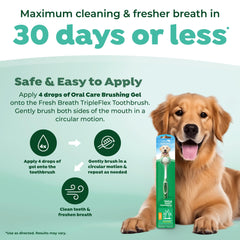 Compatible avec gel ou pâte dentifrice TropiClean pour optimiser le brossage.
