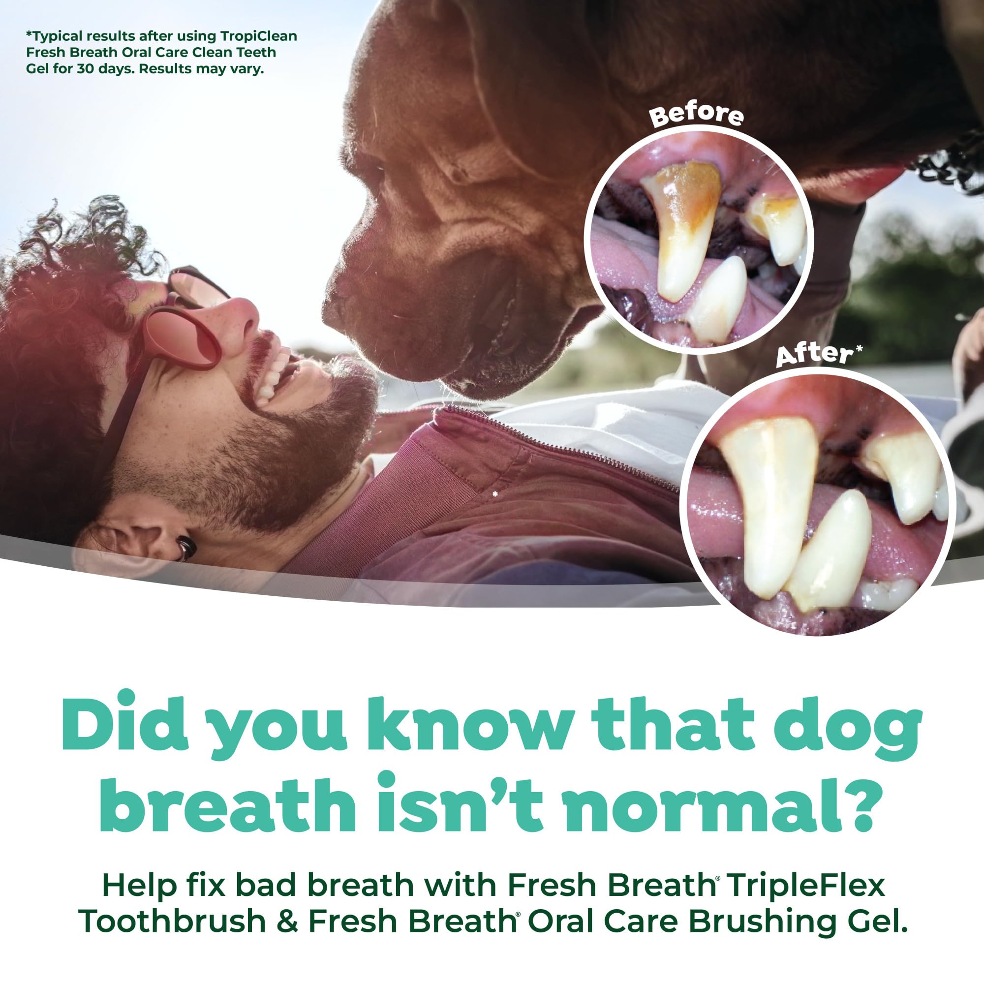 Conçu pour grands chiens, le TripleFlex favorise une hygiène dentaire durable.