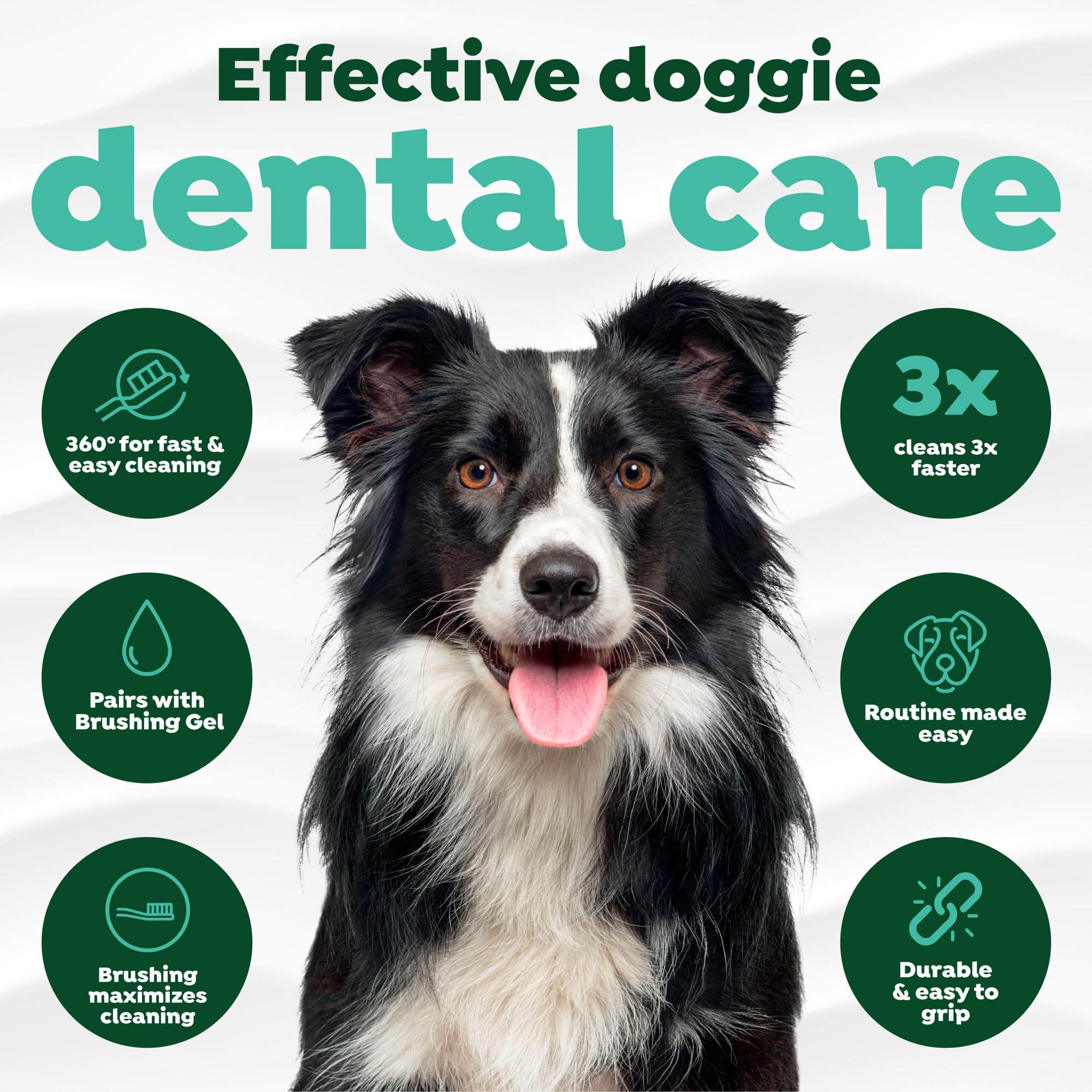Nettoyage rapide et efficace des dents grâce à TropiClean TripleFlex.