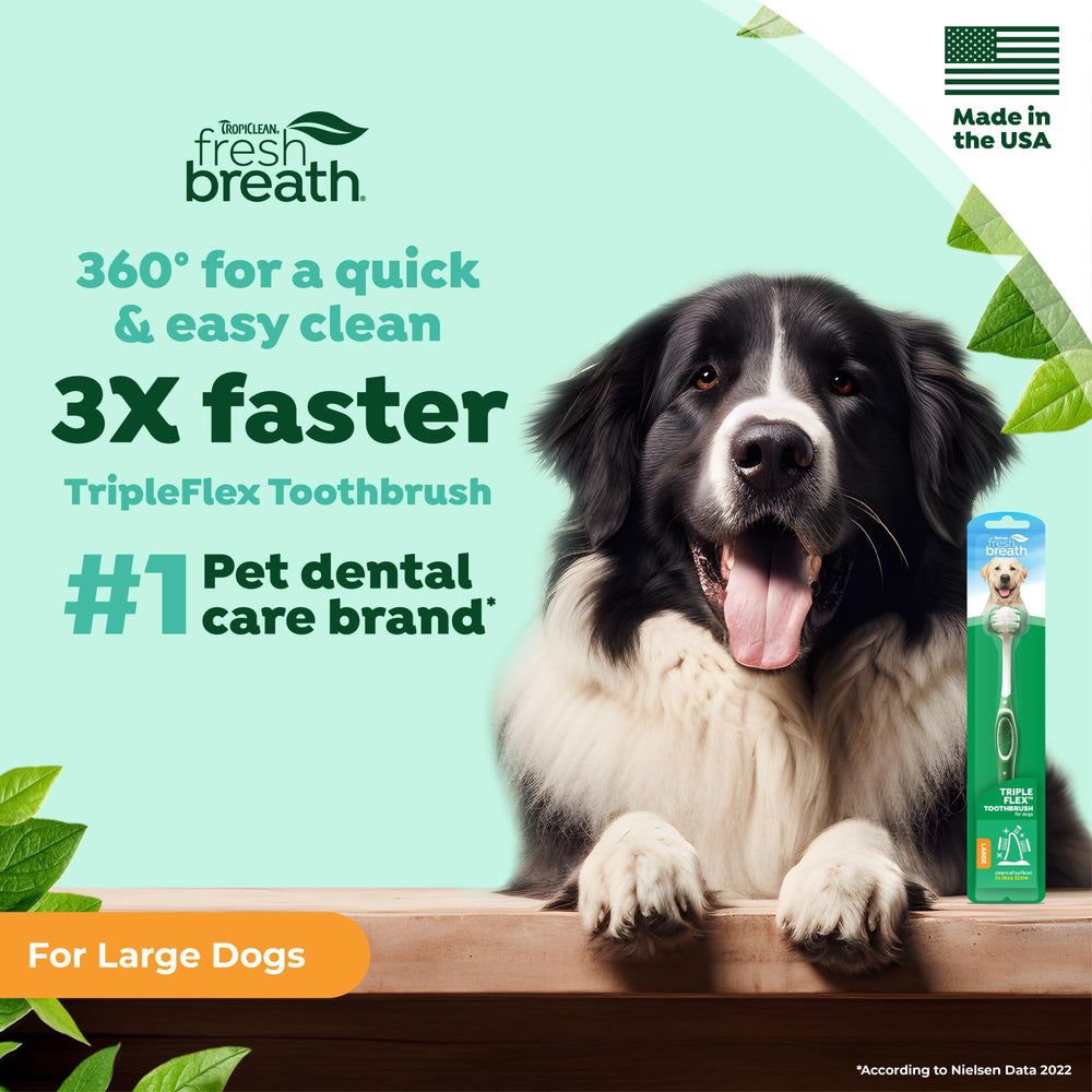 TropiClean TripleFlex atteint les zones difficiles, facilitant l’accès lors du brossage canin.