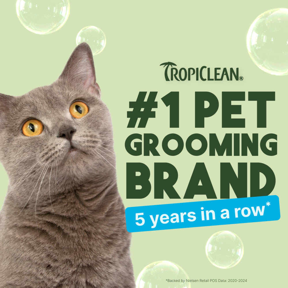 TropiClean Chat Poil Soyeux Après Shampoing: pelage doux et soyeux sans effort.