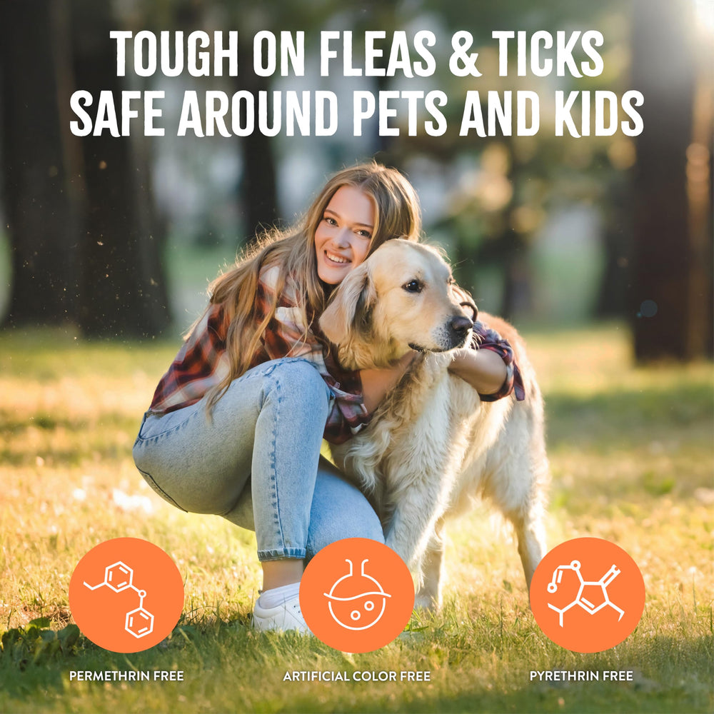 TropiClean Compatibilité avec Spot-On — chien après spray, utilisation sécurisée.