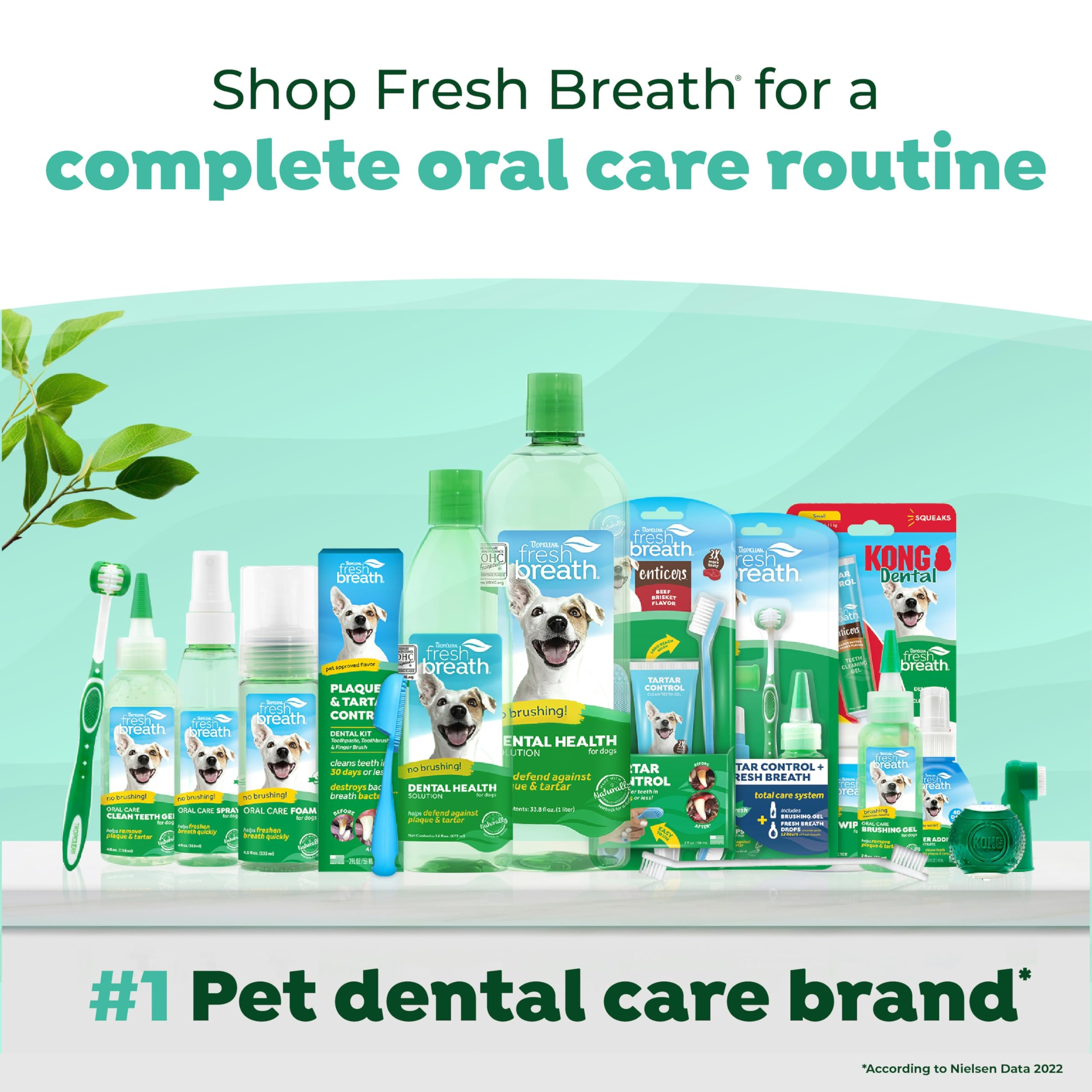Conditionnement pratique 1 oz de dentifrice pour routine dentaire pratique.