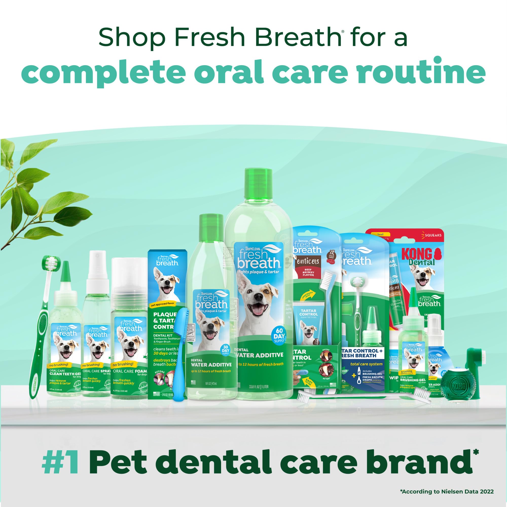 TropiClean dentifrice chien aide potentiellement à réduire plaque et tartre.