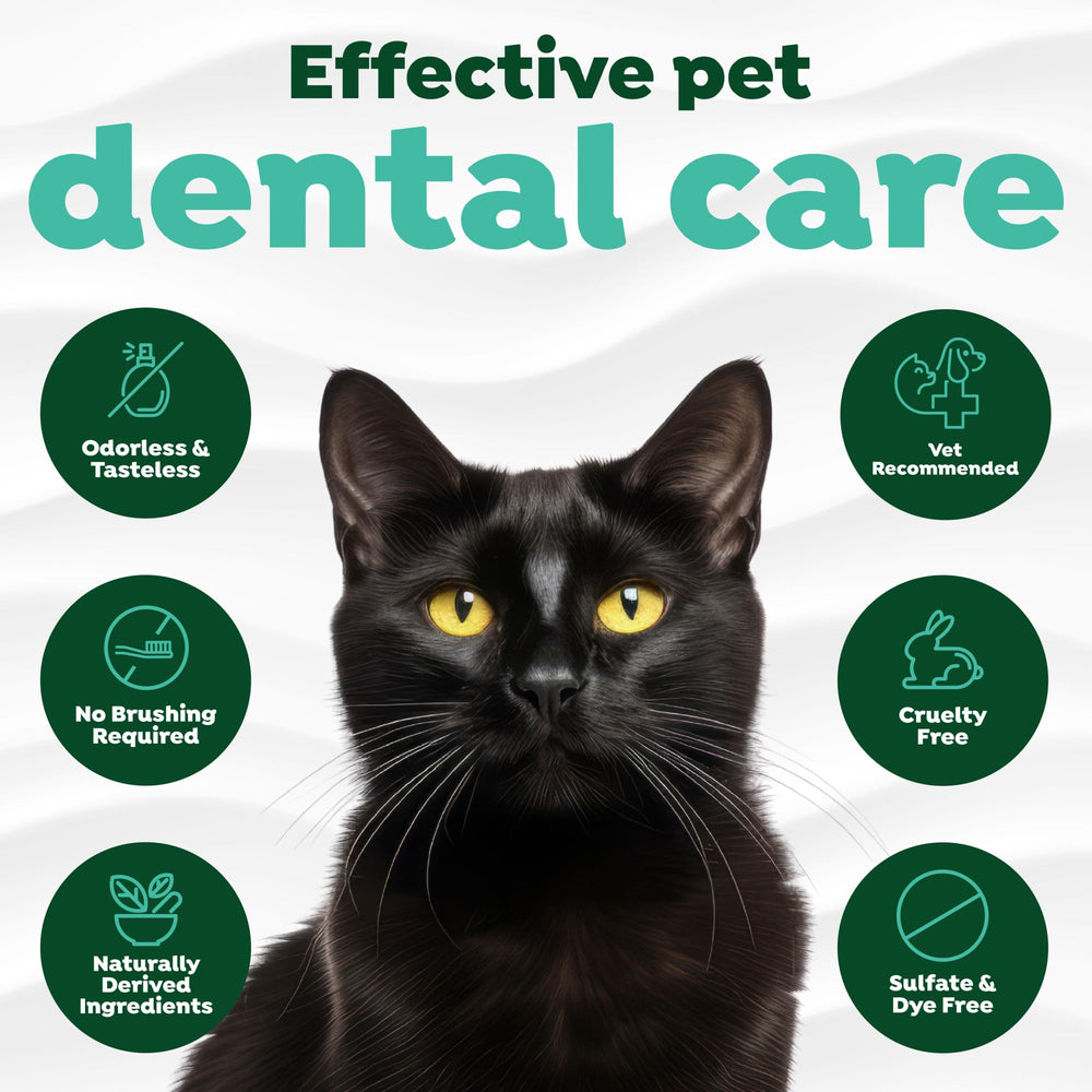 TropiClean: dents-chat-plaques-tartre-aide, montre le soutien potentiel à l hygiène buccale.