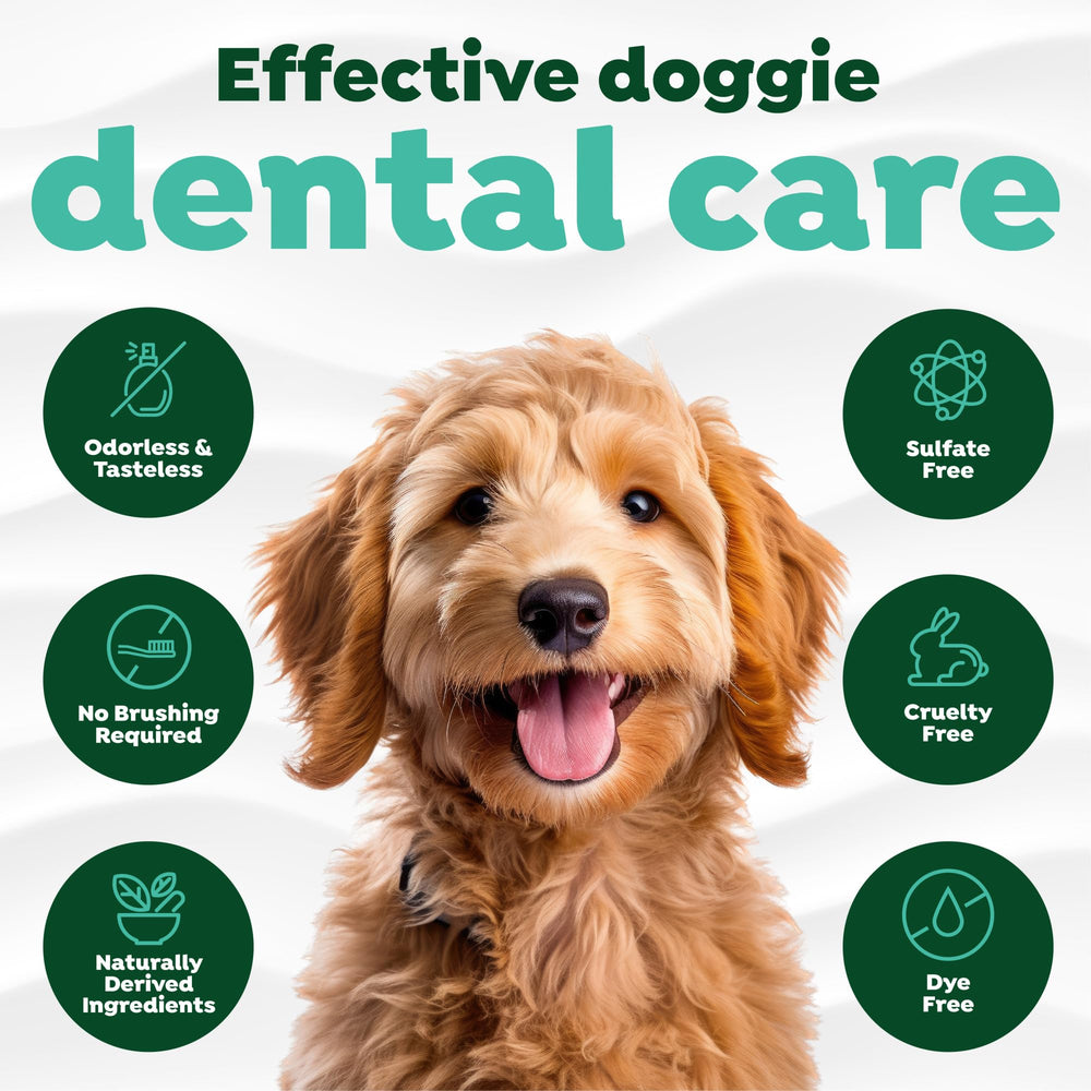 TropiClean Dosage debut estomac sensible chien, démarrage en douceur