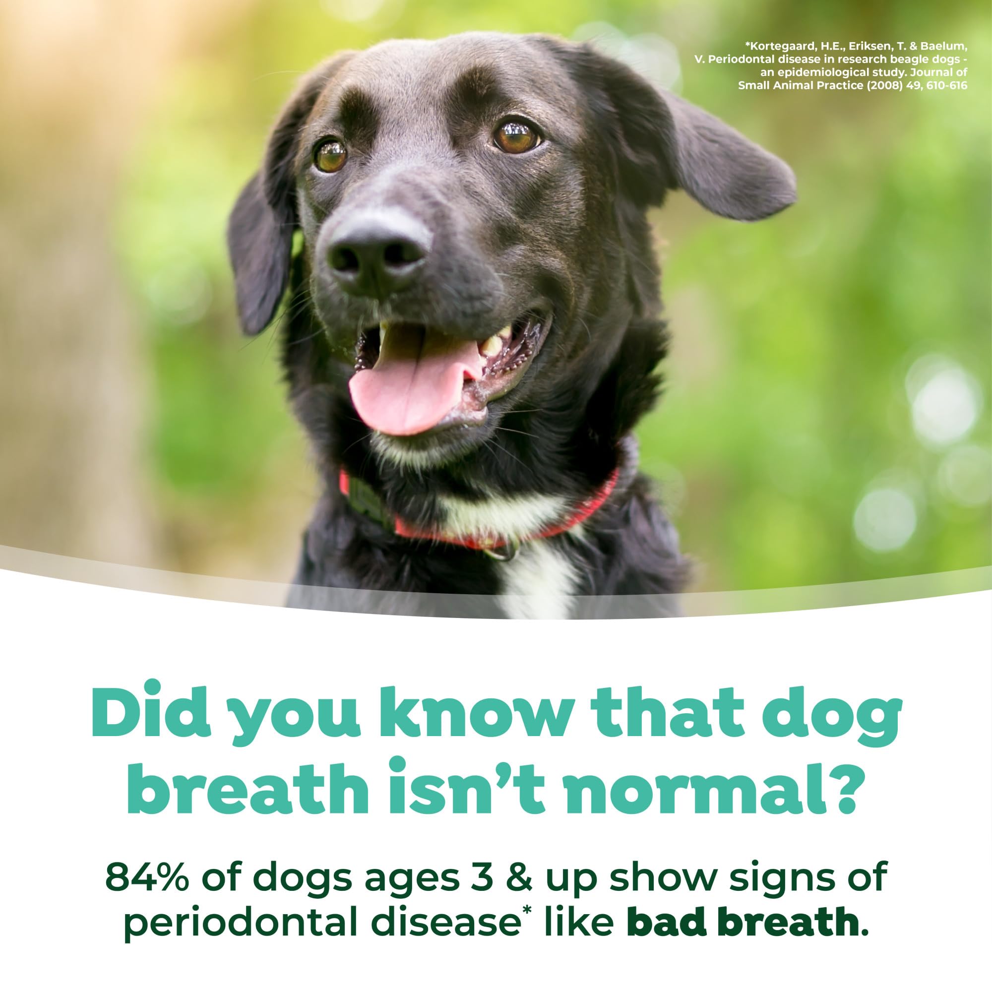 TropiClean Fresh Breath: démarrage par demi-dose pour chiens sensibles.