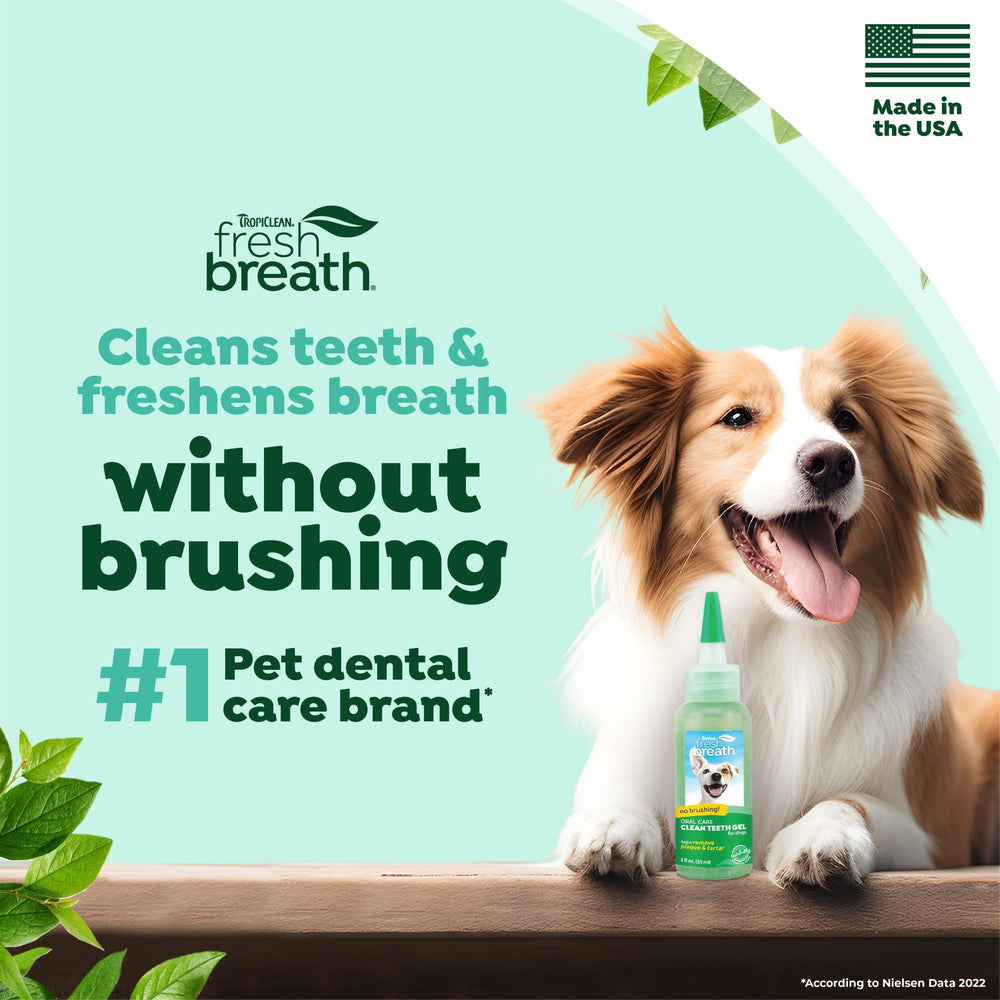 Application directe du Gel Dents TropiClean sur les dents du chien, sans brossage.