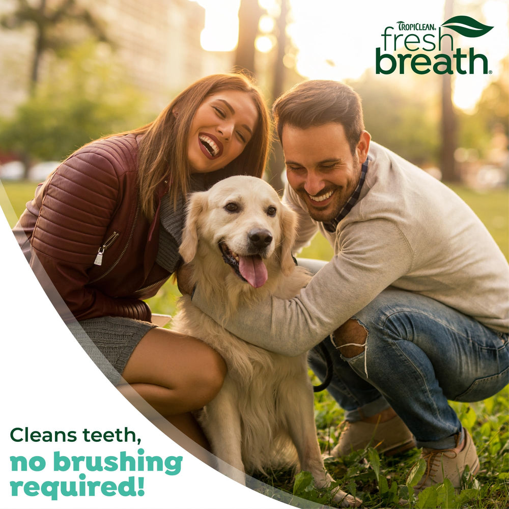 Fabriqué aux États-Unis – TropiClean Gel Dents pour Chiens.