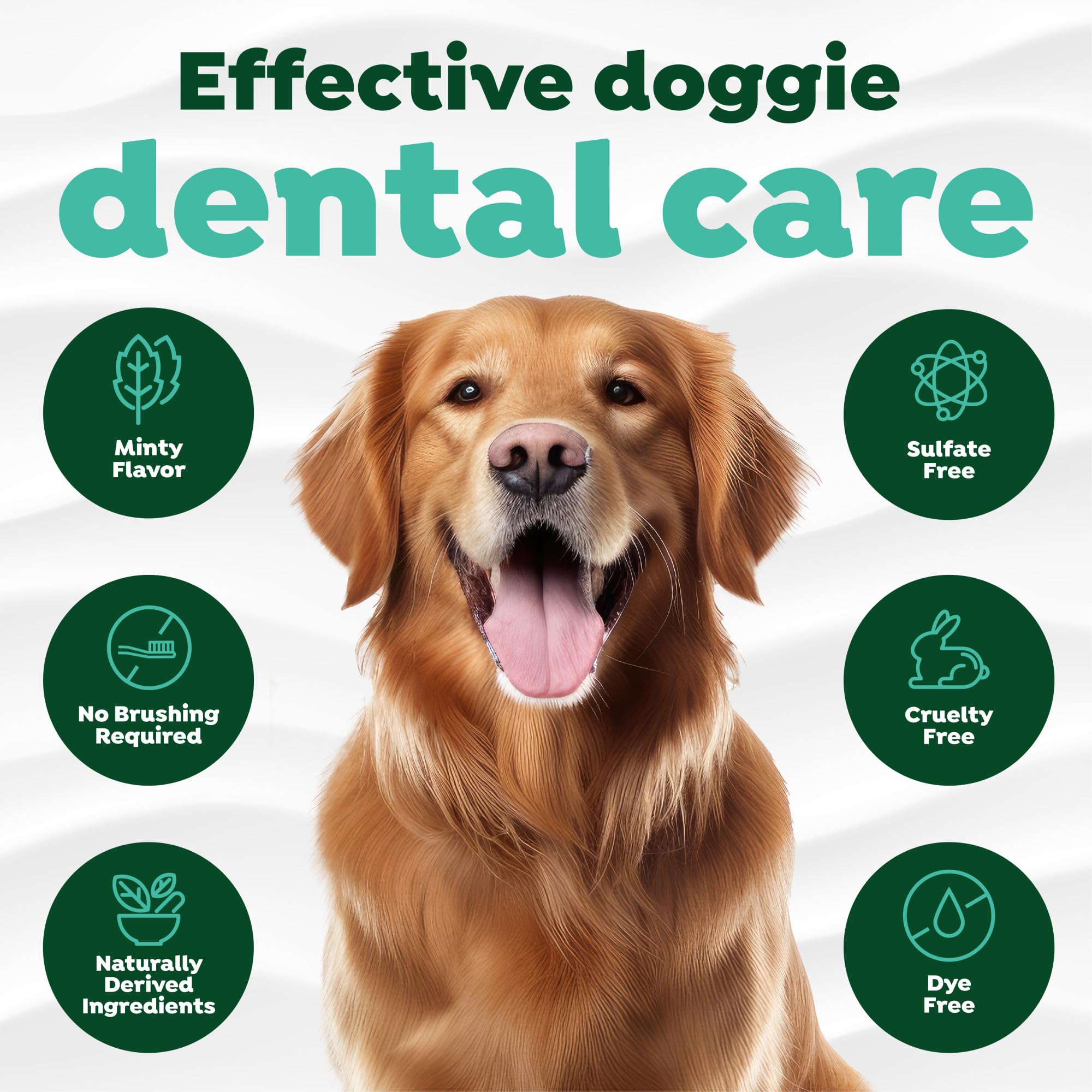Chien avec haleine fraîche après l’application du Gel Dents TropiClean.
