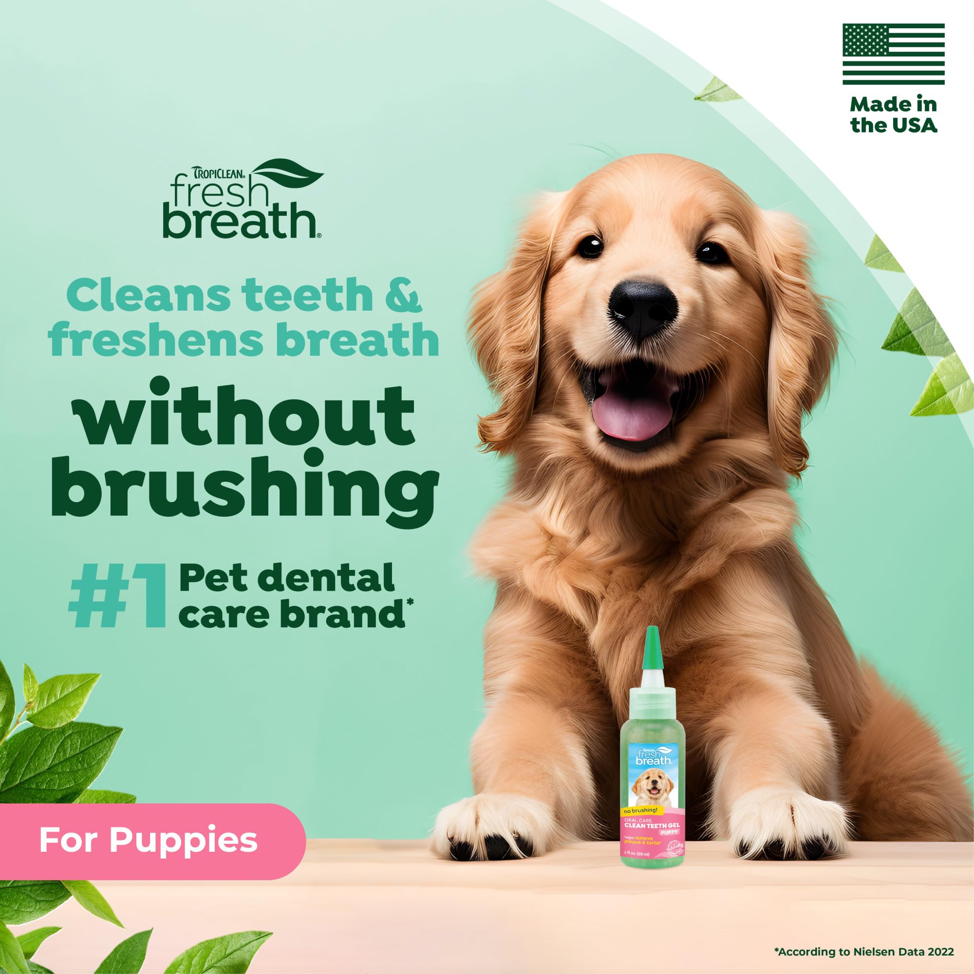 TropiClean dentifrice chien, application — sans brosse sur dents