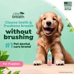 TropiClean dentifrice chien, application — sans brosse sur dents
