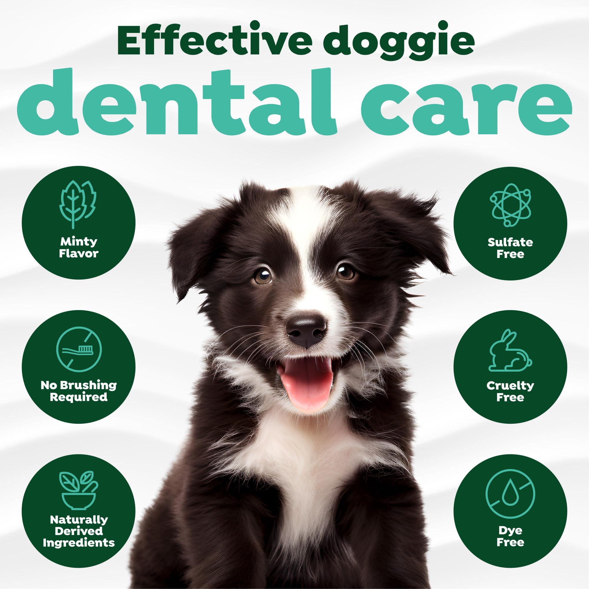 TropiClean dentifrice chien, gros plan sur le tube prêt à l'emploi