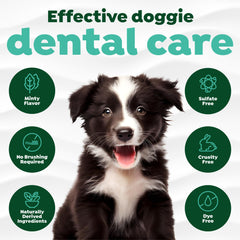 TropiClean dentifrice chien, gros plan sur le tube prêt à l'emploi