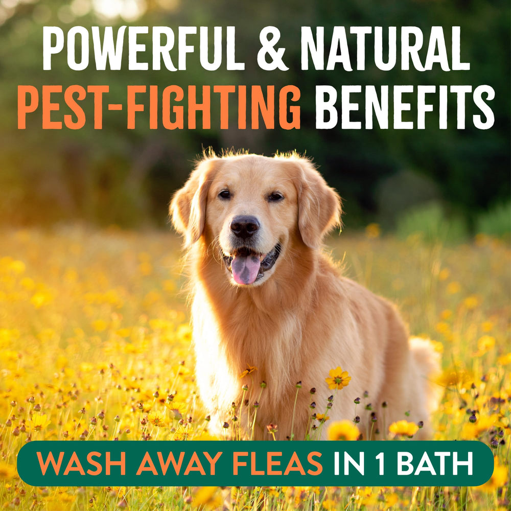 TropiClean Shampoing Chien: huile citronnelle repousse les parasites